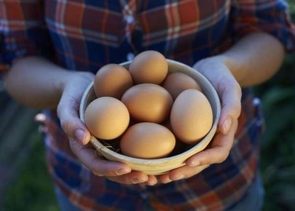 яйца в руках