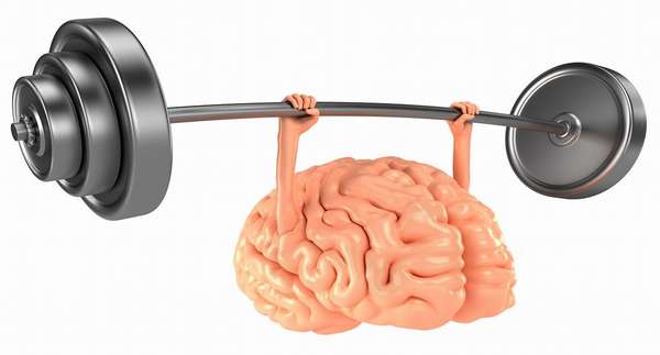 Между мозгом и мышцами есть определенная связь
