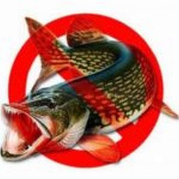 рыба запрещена