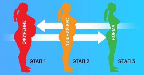 Метаболическая диета – подробное описание и руководство для регулировки гормональной системы