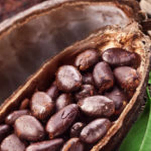 Принцип работы шоколада Chocolate slim для похудения