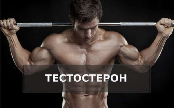 Тестостерон, фото